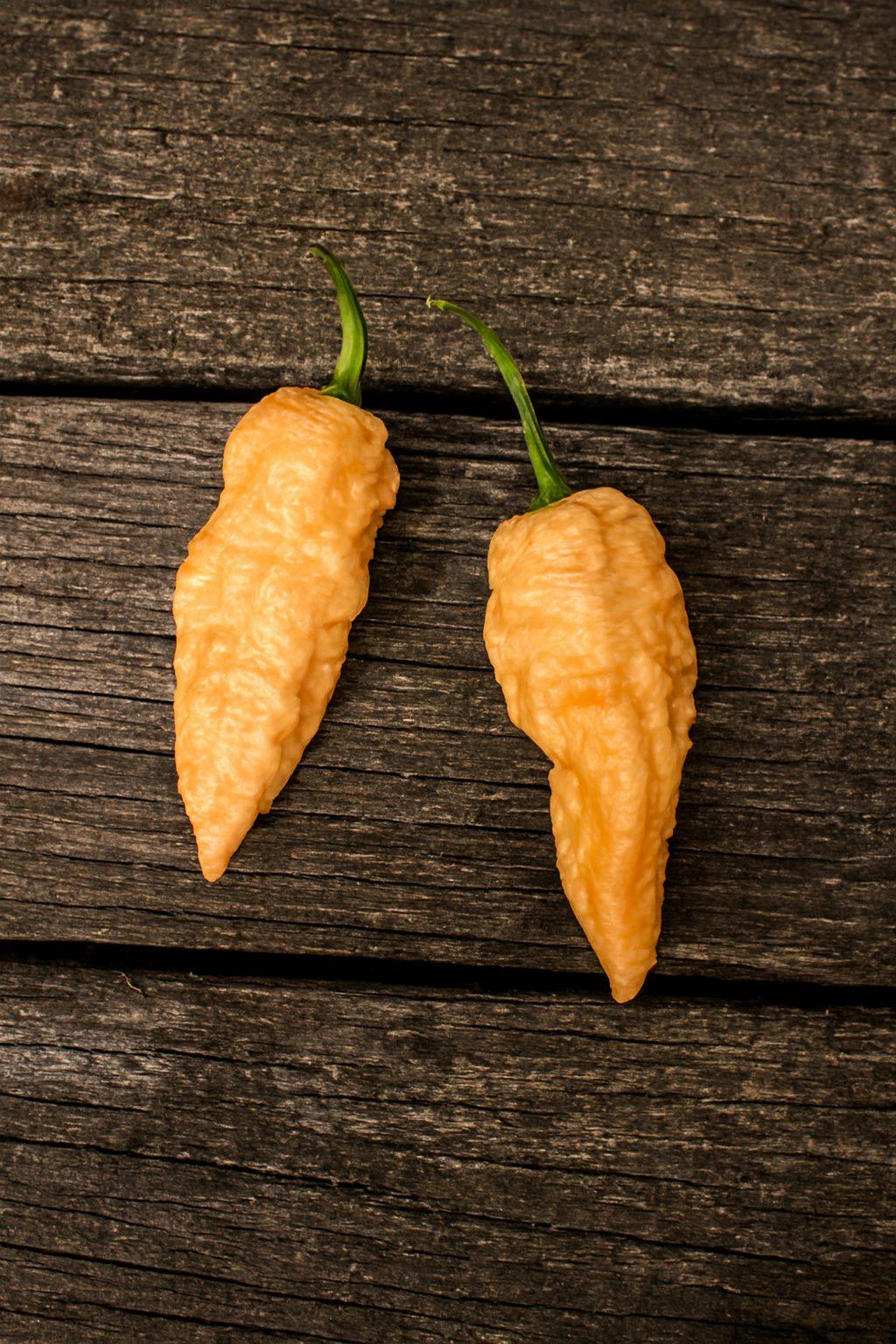 Peach Ghost Pepper Seeds Authentic - From Seed to Sensation: Spring into Action with 10 Premium Quality Seeds 1 Peach Ghost Pepper Seeds