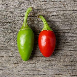 Pequin x Jalapeno Chilli Seeds