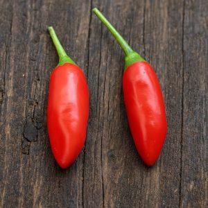 Purple Flowered Baccatum Chilli Seeds