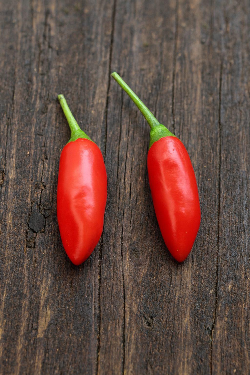 Purple Flowered Baccatum Chilli Seeds Authentic - From Seed to Sensation: Spring into Action with 10 Premium Quality Seeds 1 Purple Flowered Baccatum Chilli Seeds