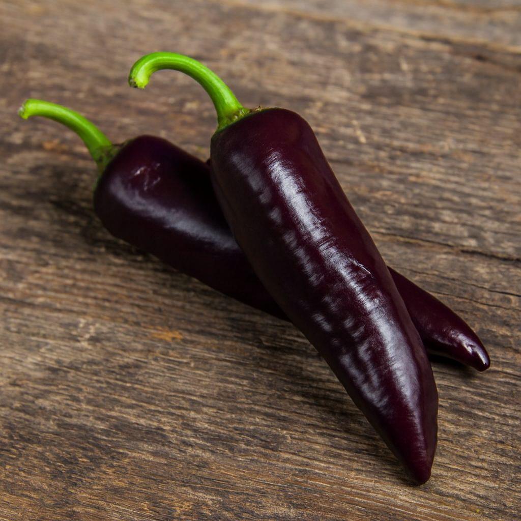 Marconi Purple Pepper Seeds Authentic - From Seed to Sensation: Spring into action with 10 Premium Heirloom Variety seeds 1 Purple Marconi pepper seeds