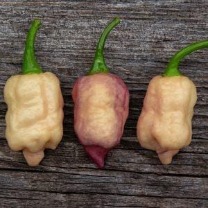 Reaper Pink Peach chilli seeds