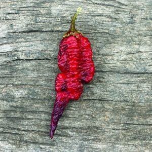 Reaper x Pink Tiger Viola Chilli Seeds