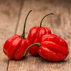 Red Habanero chilli seeds