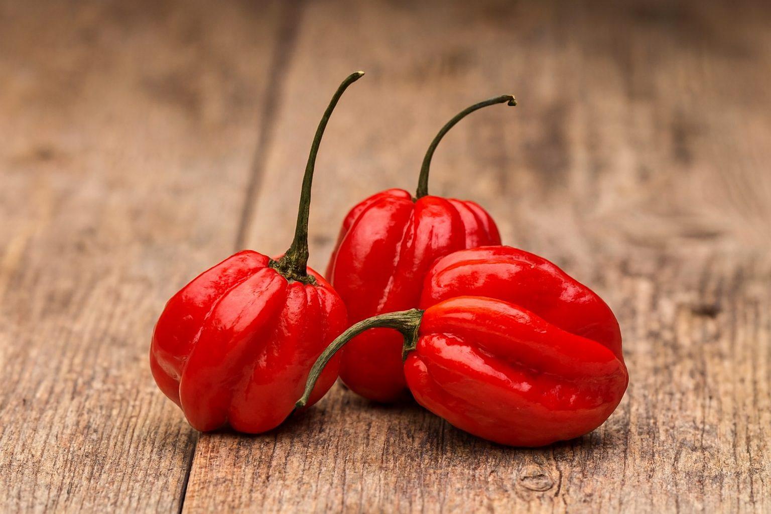 Red Habanero Chilli Seeds Authentic - From Seed to Sensation: Spring into action with 10 Premium Heirloom Variety seeds 1 Red Habanero chilli seeds