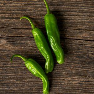 Shishito pepper seeds