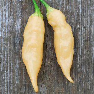 Sugar Rush Peach Chilli Seeds