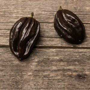 Swiss Chocolate Habanero chilli seeds