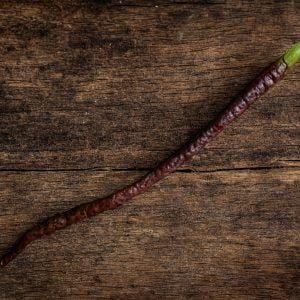Thunder Cacho Brown Chilli Seeds