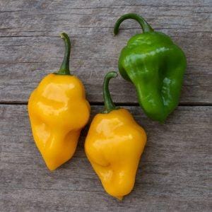 Trinidad Perfume Pepper Seeds