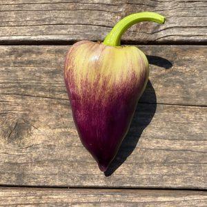 Violet Sparkle Pepper Seeds