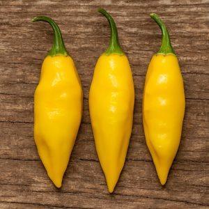 Aji Limonada Chilli Seeds