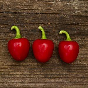 Bacio Di Satana Chilli Seeds