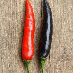Black Cobra Chilli Seeds Authentic - From Seed to Sensation: Spring into action with 10 Premium Heirloom Variety seeds