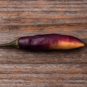 Black Dracharys Chilli Seeds