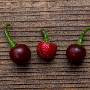 Bode Roxa Chilli Seeds