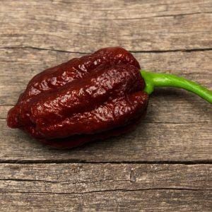 Brazilian Ghost Chocolate Chilli Seeds