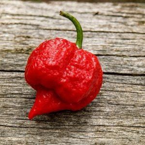 Brazilian Reaper Chilli Seeds