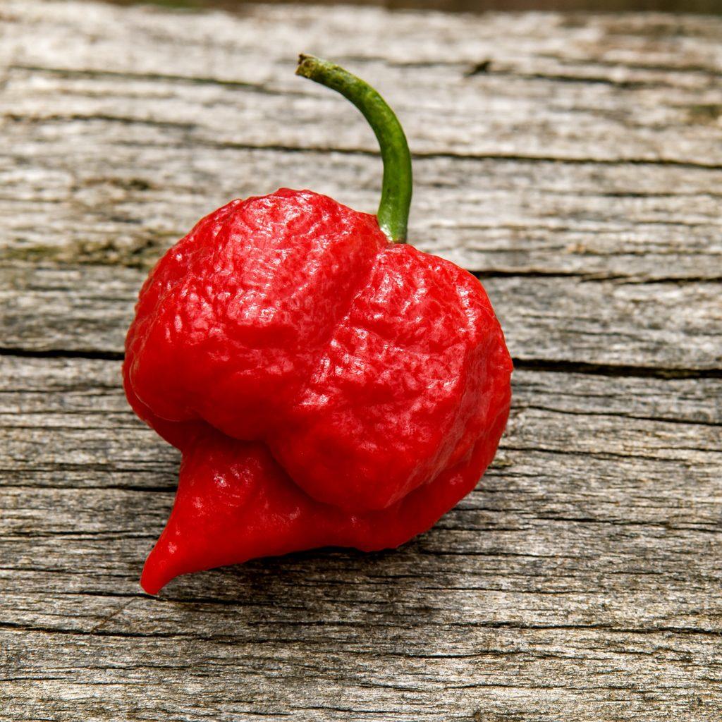 Brazilian Reaper Chilli Seeds Authentic - From Seed to Sensation: Spring into Action with 10 Premium Quality Seeds 1 Brazilian Reaper Chilli Seeds