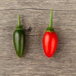 Cap 524 Chilli Seeds