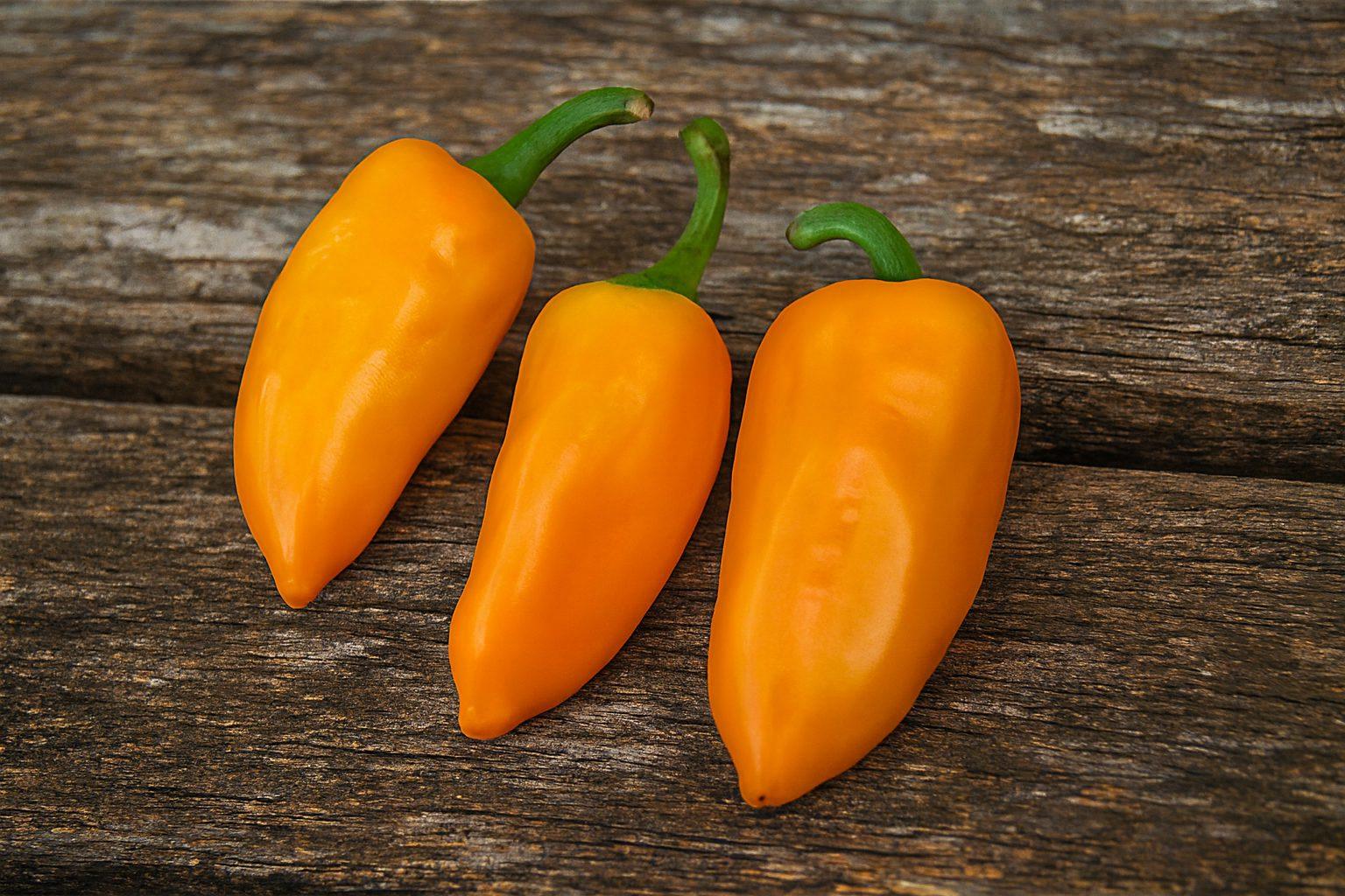 Chilhuacle Amarillo Chilli Seeds Authentic - From Seed to Sensation: Spring into action with 10 Premium Heirloom Variety seeds 1 Chilhuacle Amarillo Chilli Seeds