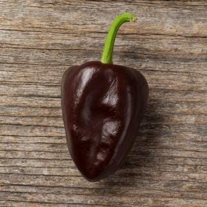 Chilhuacle Negro Pepper Seeds