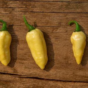 Cream Carbonero Chilli Seeds