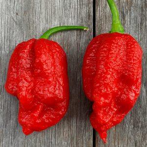 Deadpool Chilli Seeds