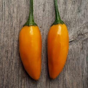 Habanero De Arbol Chilli Seeds