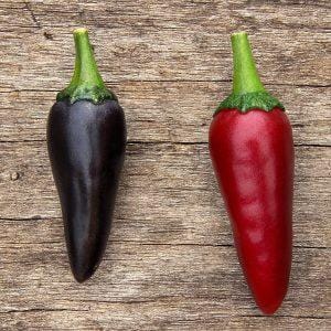 Hungarian Black Chilli Seeds