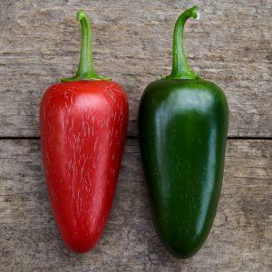 Jalapeno Guacho Chilli Seeds