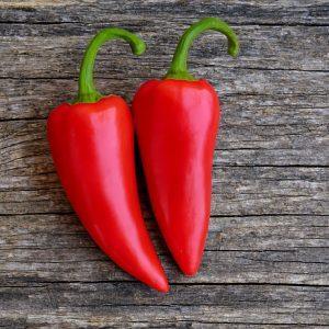 Jalastar chilli seeds