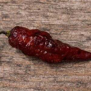 Jays x Pink tiger chilli seeds