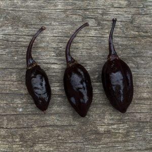 Kathumby Black Chilli Seeds