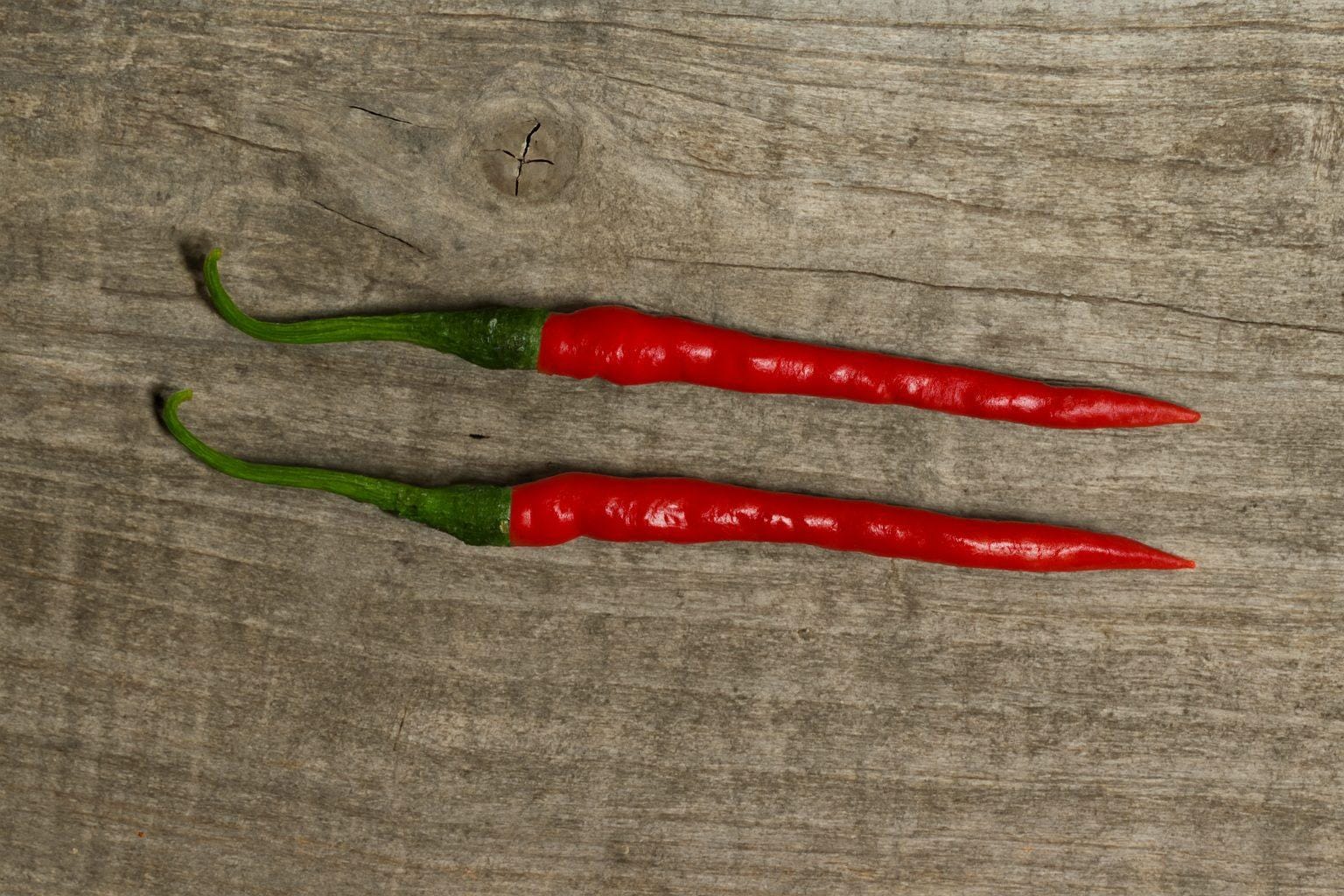 Laungi Chilli Seeds Authentic - From Seed to Sensation: Spring into action with 10 Premium Heirloom Variety seeds 1 Laungi Chilli Seeds