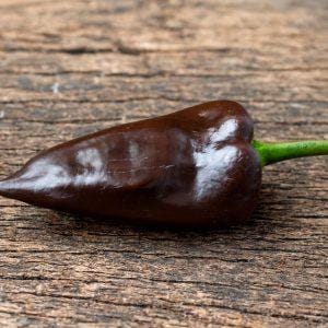 Mulato Isleno Pepper Seeds