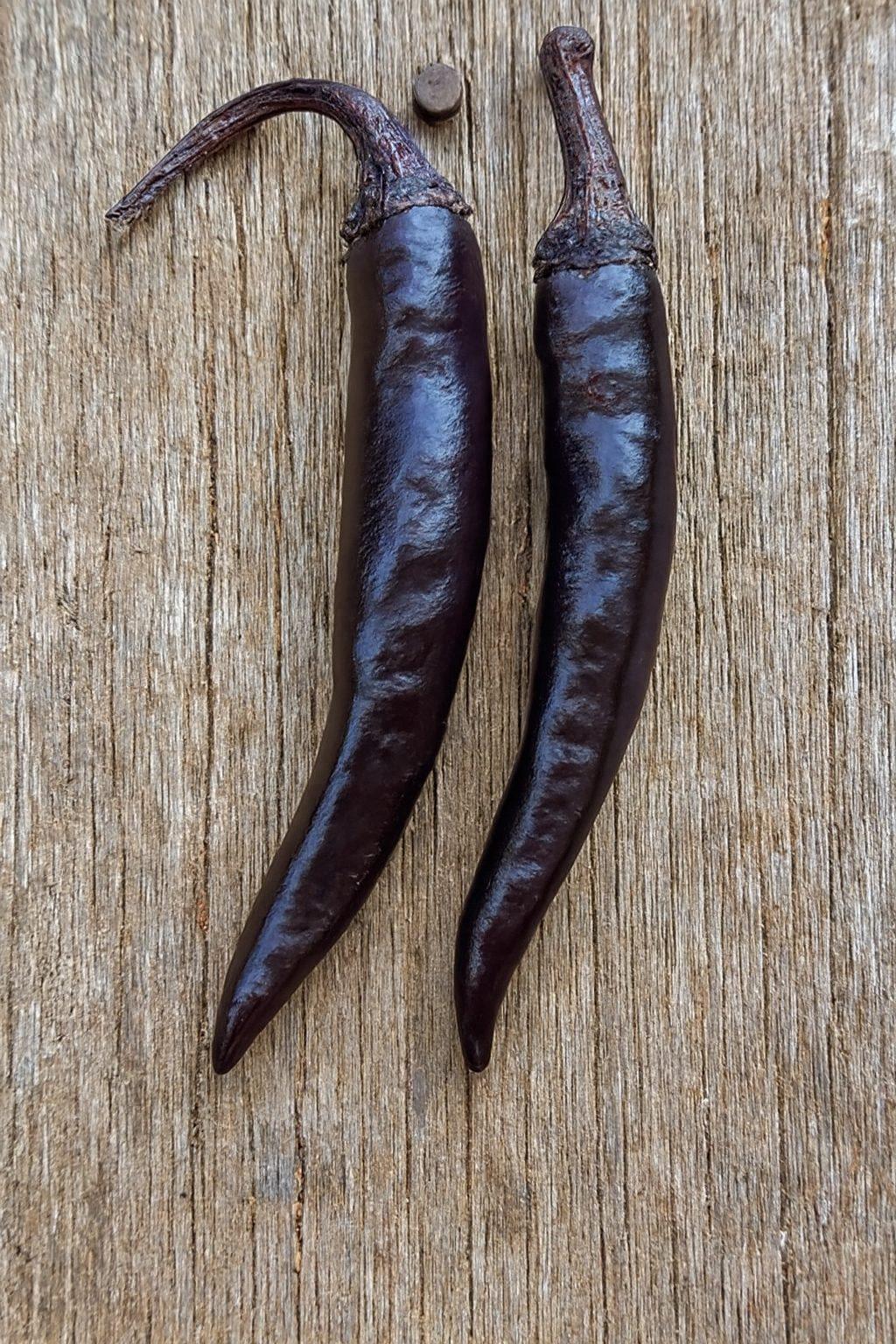 Murasaki Purple Pepper Seeds Authentic - From Seed to Sensation: Spring into action with 10 Premium Heirloom Variety seeds 1 Murasaki Purple Pepper Seeds
