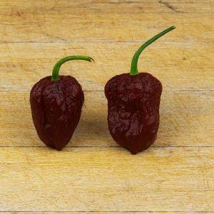 Naga Brains Chocolate Chilli Seeds