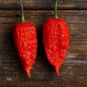 Naga brains Red Chilli Seeds