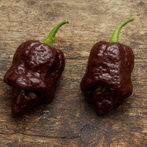 Naglah Beast Chocolate Chilli Seeds