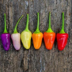 Numex Twilight Chilli Seeds