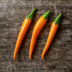 Orange Wonder Chilli Seeds