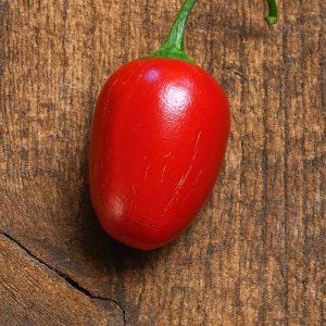 Polombo Chilli Seeds