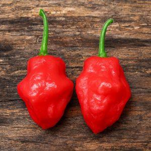 Red Jam Bonnet Chilli Seeds