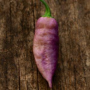 Taj Mahal Pink Peach Chilli Seeds