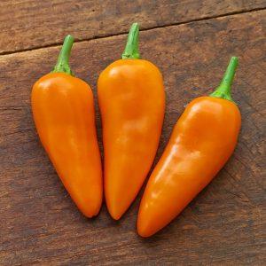 Tangerine Dream Pepper Seeds