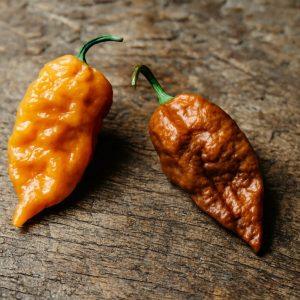 Teja Habanero Chilli Seeds