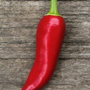 Thakari Chilli Seeds