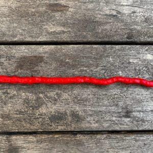 Thunder Mountain Longhorn Chilli Seeds