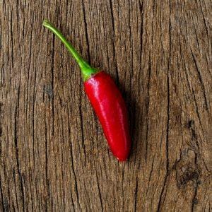 Variegated Malaysia Chilli Seeds
